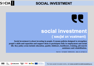Social investment definition