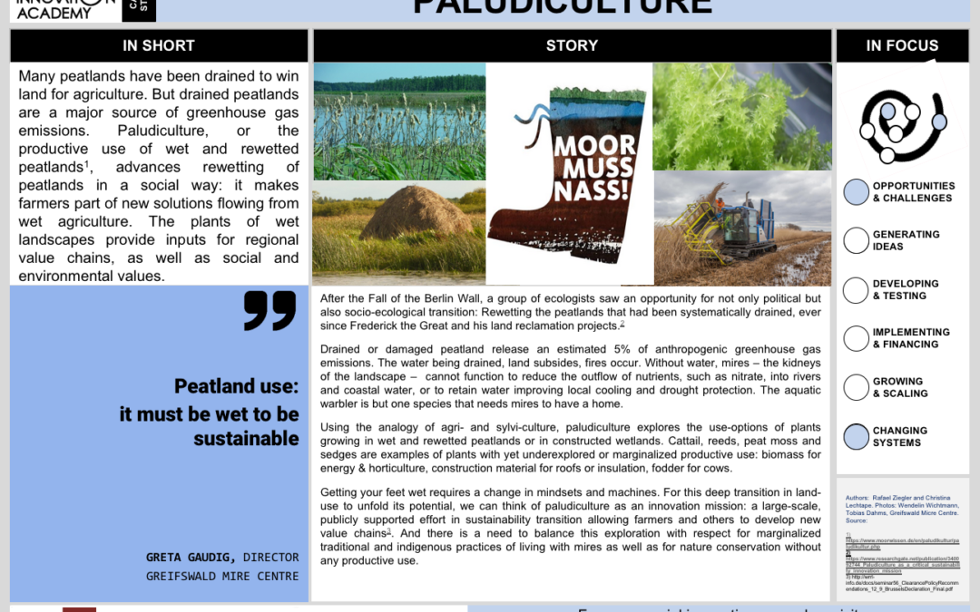 PALUDICULTURE
